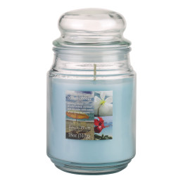 Sojowa świeca zapachowa Oceaniczna Bryza 510g - LANGLEY HOME