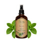 Hydrolat z Mięty pieprzowej BIO 100ml BioOlja Hydrolat z Mięty pieprzowej BIO 100ml BioOlja