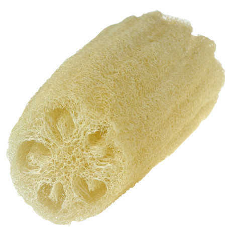 Naturalna Gąbka Roślinna Loofa 27cm Najel Duża
