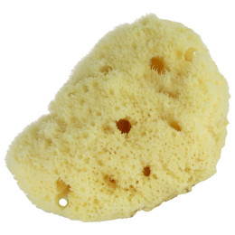 Naturalna Gąbka Śródziemnomorska 9-10 cm Najel